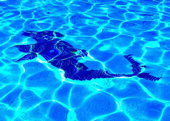 Apartman Cozy Near Yumbo *